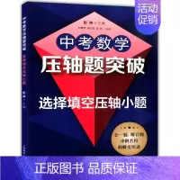 [正版]新版 中考数学压轴题突破 选择填空压轴小题 初三年级压轴题 初二初三八九年级初中几何综合题二次函数综合真题分类辅