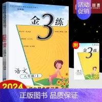 语文全国版 八年级上 [正版]2024秋上册下册金3练初中语文数学英语物理化学七八九年级789全国版人教版内含单元检测卷