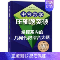 [正版]中考数学压轴题突破 坐标系内的几何代数综合大题 会一题解百题冲刺名校荆棘边坦途 初中数学选择填空压轴题专项分类资