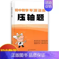 数学 初中通用 [正版]初中数学专项训练压轴题 初中必刷题库9九年级中考数学总复习挑战压轴题集大题突破训练习册重点难点考