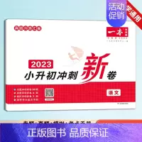 [语文]小升初冲刺新卷 小学升初中 [正版]2023新版 一本小升初名校冲刺新卷语文数学英语 真题冲刺新篇 专题冲刺新卷