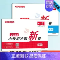 [语数2本]小升初冲刺新卷 小学升初中 [正版]2023新版 一本小升初名校冲刺新卷语文数学英语 真题冲刺新篇 专题冲刺