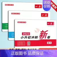 [语数英3本]小升初冲刺新卷 小学升初中 [正版]2023新版 一本小升初名校冲刺新卷语文数学英语 真题冲刺新篇 专题冲