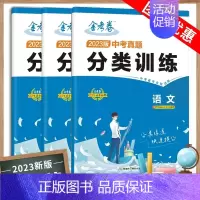 2023版中考真题分类训练 语文+数学+英语[3本套装] 初中通用 [正版]2023版全国各省市中考真题分类训练语文数学