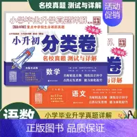 2本:[小升初分类卷]语文+数学 小学升初中 [正版]2023小升初分类卷语文数学英语 小学毕业升学真题详解真题分类卷语