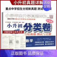 数学 小学升初中 [正版]百校联盟2023版小升初分类卷名校真题测试与详解数学升级版小学五年级预备六年级冲刺新初一摸底试