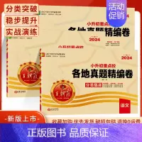 3本套装[真题精编卷]语文+数学+英语 小学六年级 [正版]2024版 小升初各地真题分类卷精编卷语文数学英语 小学六6
