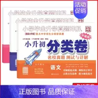 真题详解.语文+数学+英语[3本] 小学升初中 [正版]2024新版小学毕业升学真题详解语文数学英语真题测试卷人教版小升