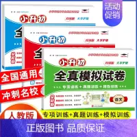 3册[语文+数学+英语]小升初模拟试卷(含真题) 小学升初中 [正版]2024年小升初模拟试卷真题卷必刷题人教版语文数学