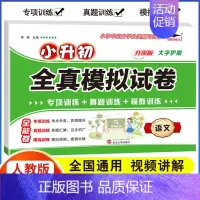 [语文]小升初模拟试卷(含真题) 小学升初中 [正版]2024年小升初模拟试卷真题卷必刷题人教版语文数学英语小学毕业总复