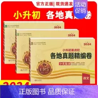 英语通用版 小学升初中 [正版]2024版王朝霞小升初重点校各地真题精编卷语文数学英语人教版全国通用版 小学升初中各地考