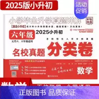 小升初分类卷数学 [正版]2025小升初分类卷小学毕业升学真题详解真题语文数学英语文言文古诗词小学生四五六年级冲刺名校百