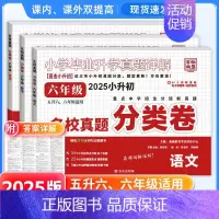 六年级]语数英 3本 小学通用 [正版]2025小升初分类卷五年真题升级版语文数学英语四五六年级重点中学招生分班真卷 百