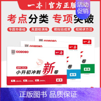 ❤[冲刺新卷]语+数+英.全3册 小学升初中 [正版]小升初冲刺新卷必刷题人教版名校真题卷2024语文英语数学专项训练总