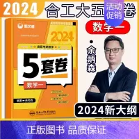 24版余丙森合工大5套卷[数学一] [正版]新版 新文道2024版考研数学余丙森五套卷数学一二三合工大5套卷森哥五套卷数