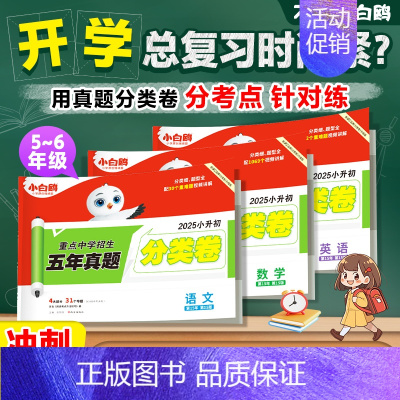 语数英⭐小升初真题[分类卷]3科套装 小学升初中 [正版]2025新版万唯星空小升初分类卷真题卷人教版语文数学思维训练英