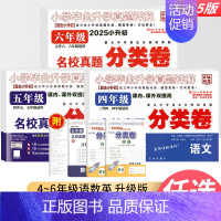 语+数 小学五年级 [正版]小升初2025版名校真题分类卷语文数学英语小升初专项训练百校联盟重点中学招生分班真题新初一摸