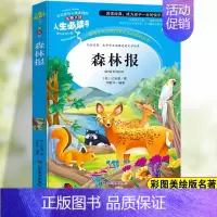 [四下]森林报 [正版]希腊神话故事四年级阅读课外书必读快乐读书吧老师四年级上册下册小学课外阅读山海经世界神话故事与传说