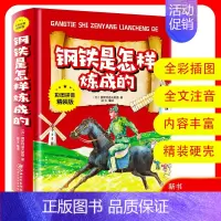 [正版]钢铁是怎样炼成的 彩图拼音精装版 小学生 儿童文学小说 世界名著课外阅读丛书 坚韧的意志 钢铁般的品质不会褪色