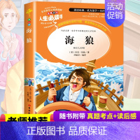 海狼 [正版]海狼 小学生课外阅读书籍三四五六年级世界经典名著青少年儿童文学读物故事书名师全解版 安丰