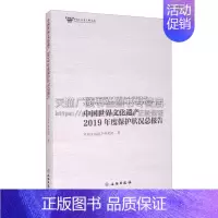 [正版]中国世界文化遗产2019年度保护状况总报告 中国文化遗产研究院信息与知识传播世界文化