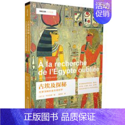 [正版]古埃及探秘 发现之旅历史卷 尼罗河畔的金字塔世界 让 韦尔古特 著 历史文化书籍 古埃及千年文化 一个石头符号组
