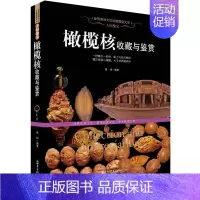 [正版] 人间瑰宝:橄榄核收藏与鉴赏(世界高端文化珍藏图鉴大