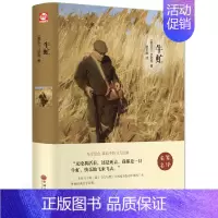[正版]牛虻 伏尼契 无删减 世界经典文学名著 文学书籍 学生青少年课外阅读 牛虻