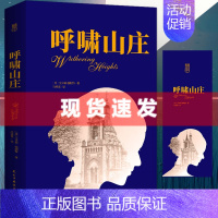 [正版]4本39元专区呼啸山庄 中文版无删减全译本 世界经典名著书籍 初中生高中生大学生课外读物 外国书排行榜文