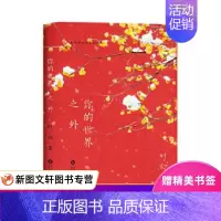 [正版]你的世界之外 叶弥 文化发展出版社 9787514229721