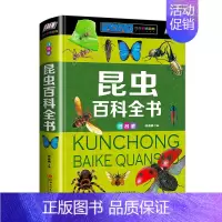 [正版]昆虫百科全书全彩注音版少儿阅读金典小学生一二三年级课外阅读科普百科知识 昆虫形体结构行为生活习性自然世界生物探