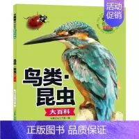小眼睛看世界精华版·鸟类·昆虫大百科 [正版]小眼睛看世界 鸟类·昆虫大百科 精华版 李唐文化工作室 编 科普百科少儿