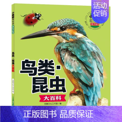 小眼睛看世界精华版·鸟类·昆虫大百科 [正版]小眼睛看世界 鸟类·昆虫大百科 精华版 李唐文化工作室 编 科普百科少儿