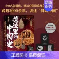 [正版] 遗迹里的中国史 曲长涛重新认识古中国殷墟遗址/三星堆遗址/马王堆汉墓 6处大型遗迹近300张遗迹及文物照片 考