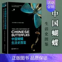 [正版] 中国蝴蝶生活史图鉴 264种国内蝴蝶的生活史及幼期特征 蝴蝶的分类生物学等基础知识 蝴蝶生活史图鉴大全书籍