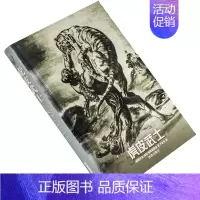 [正版]虎皮武士 鲁斯塔维里 严永兴翻译 译林世界文学名著现当代系列精装 译林出版社 书籍 老版