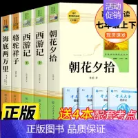 七年级上/下必读课外书5册[人教版] [正版]七年级上册朝花夕拾西游记原著白洋淀纪事湘行散记猎人笔记镜花缘初一必读课外书