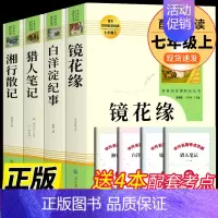 七年级上必读课外书4册[人教版] [正版]七年级上册朝花夕拾西游记原著白洋淀纪事湘行散记猎人笔记镜花缘初一必读课外书名著