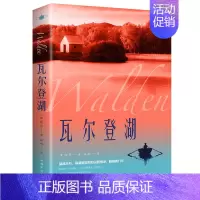 [正版]瓦尔登湖梭罗著外国经典文学小说名著故事书青少年课外阅读书籍外国小说作品集名家名译原著原版
