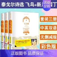 [正版]彩色双语版飞鸟集新月集园丁集原著泰戈尔诗选全套3册英汉双语中英文对照书籍初高中七八九年级课外阅读经典文学名著青少