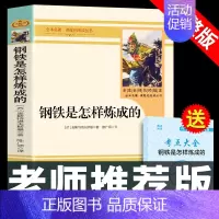 钢铁是怎样炼成的 完整版 [正版]原版完整版 送考点钢铁是怎样炼成的 初中原著 八年级课外阅读书籍下册语文名著书目课外