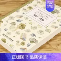 [正版] 床头灯英语3000词读物 理智与情感 中英文对照双语