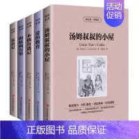 [正版] 读名著学英语 爱的教育 汤姆叔叔的小屋 海底两万里 木偶奇遇记 昆虫记五5册套 中英文对照双语读物 美丽英文童