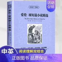 [正版]爱伦坡短篇小说精选看名著学英语中英双语书世界文学名著籍课外阅读词汇训练语法巩固词汇注释扫清阅读障碍英语原文阅读理