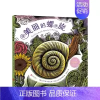 [正版]美丽的螺旋 3-6岁 中英双语 走近科学 走进大自然 夜色下的小屋