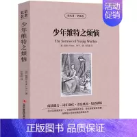 [正版]少年维特之烦恼中英文双语书籍名著读物英汉对照小说全套阅读 歌德原著 读名著学英语高初中生课外阅读少年维特的烦恼z