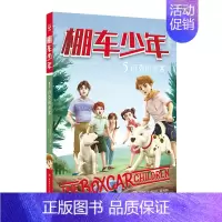 [中英双语·第1辑]5.迈克的迷案 [正版]棚车少年中英双语全套第一二三四季500个高频单词写给孩子励志探险美国儿童文学