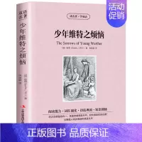 [中英文双语]少年维特之烦恼 [正版]少年维特之烦恼中英文双语互译原版原著世界文学名著短篇小说读名著读名著学英语初高中学