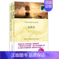 [正品]金银岛 史蒂文森原著 青少年版 (英文原版书+中文全译本)全套2册 中英文对照书籍双语读物 译林 [正版]书