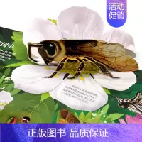 [科普百科]昆虫3d立体书 [正版]科幻迷太空立体书儿童3d立体书揭秘系列翻翻书机关书宝宝绘本故事书宇宙科普百科全书类小